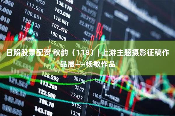 日照股票配资 秋韵（118）| 上游主题摄影征稿作品展——杨敏作品