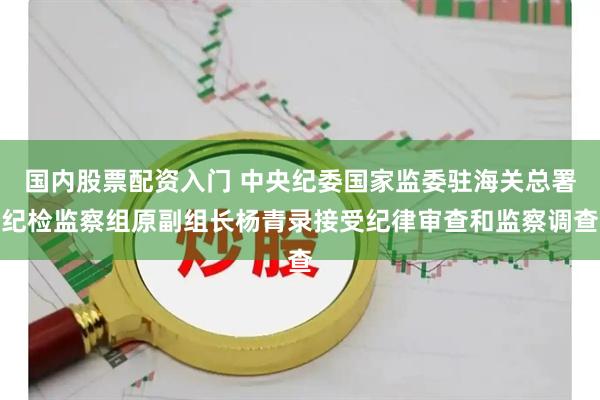 国内股票配资入门 中央纪委国家监委驻海关总署纪检监察组原副组长杨青录接受纪律审查和监察调查