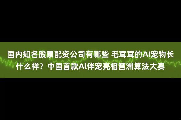 国内知名股票配资公司有哪些 毛茸茸的AI宠物长什么样？中国首款Al伴宠亮相琶洲算法大赛