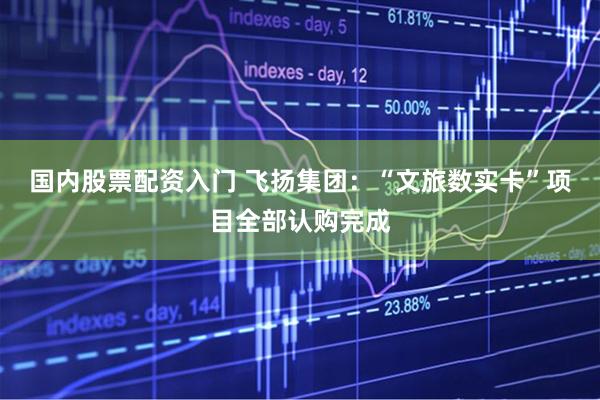 国内股票配资入门 飞扬集团：“文旅数实卡”项目全部认购完成