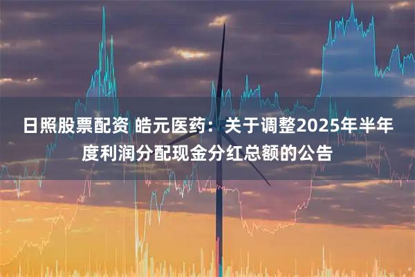 日照股票配资 皓元医药：关于调整2025年半年度利润分配现金分红总额的公告