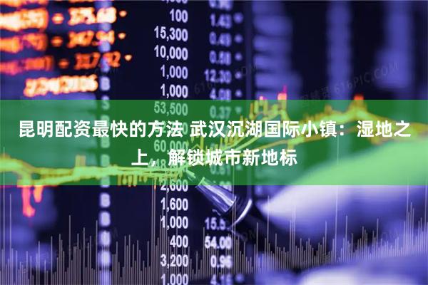昆明配资最快的方法 武汉沉湖国际小镇：湿地之上，解锁城市新地标