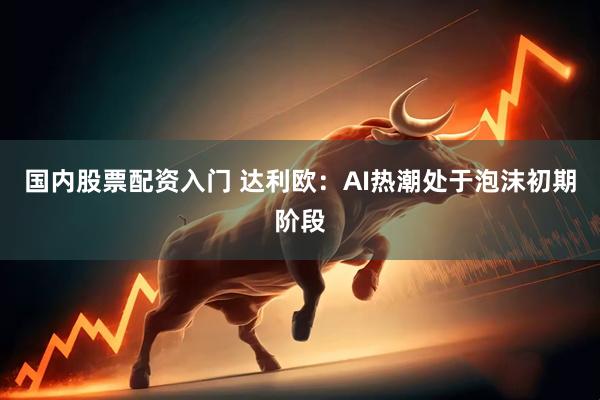 国内股票配资入门 达利欧：AI热潮处于泡沫初期阶段