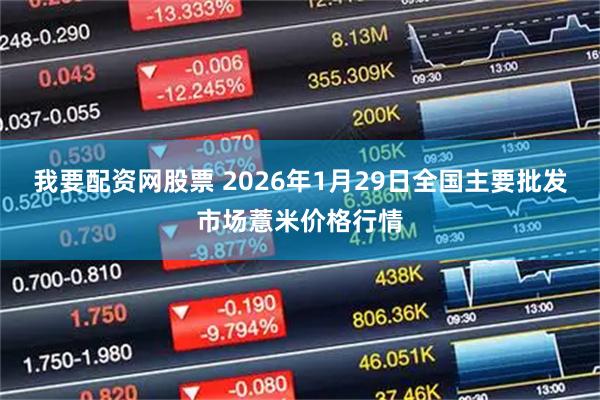 我要配资网股票 2026年1月29日全国主要批发市场薏米价格行情