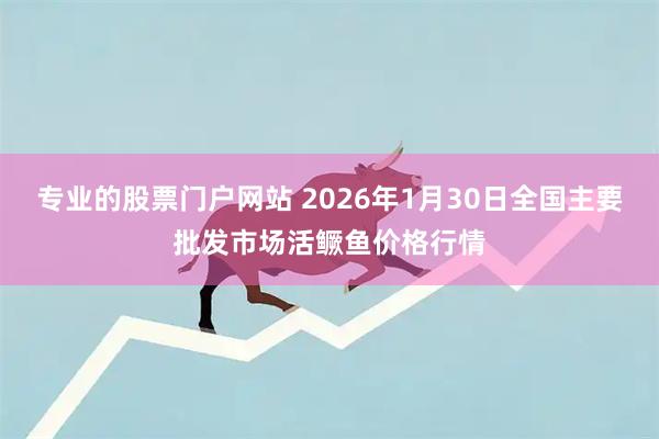专业的股票门户网站 2026年1月30日全国主要批发市场活鳜鱼价格行情