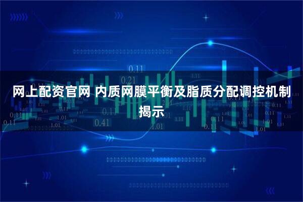 网上配资官网 内质网膜平衡及脂质分配调控机制揭示