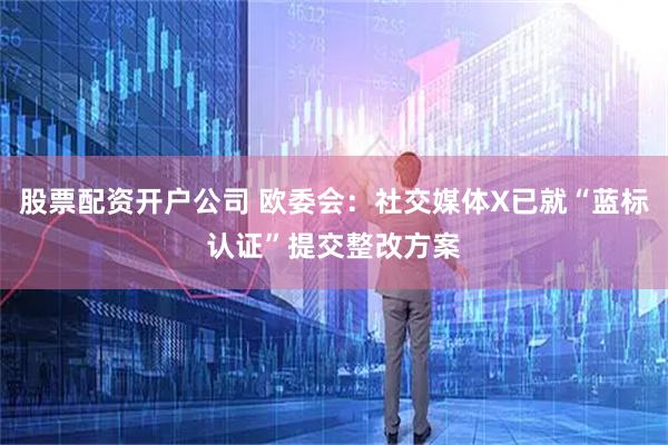 股票配资开户公司 欧委会：社交媒体X已就“蓝标认证”提交整改方案