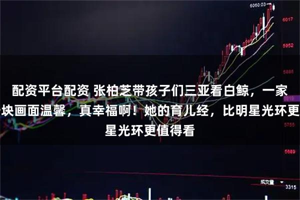 配资平台配资 张柏芝带孩子们三亚看白鲸，一家人在一块画面温馨，真幸福啊！她的育儿经，比明星光环更值得看