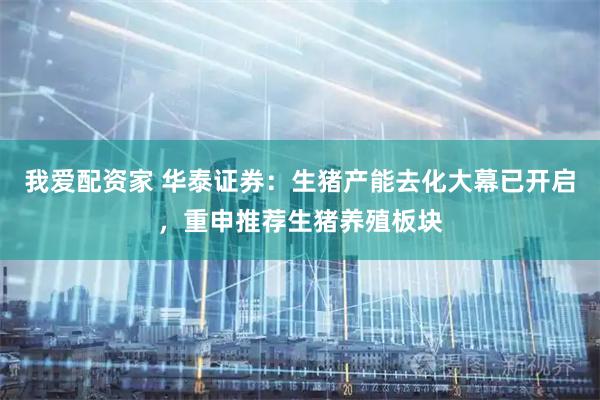 我爱配资家 华泰证券：生猪产能去化大幕已开启，重申推荐生猪养殖板块